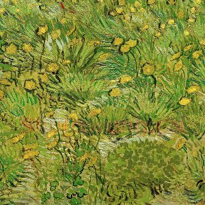梵高作品《长满蒲公英的田野》