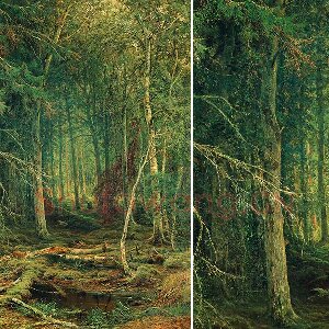 希施金油画森林风景《边远地区的森林》