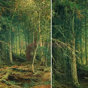 希施金油画森林风景《边远地区的森林》