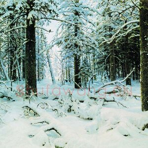 希施金油画雪景 冬天的森林