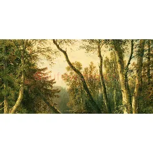 希施金油画风景《有苍鹭的森林风景》