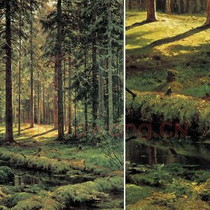 希施金森林风景画《针叶林》
