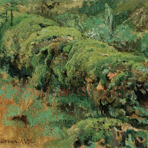 希施金油画《腐烂树干上的苔藓》