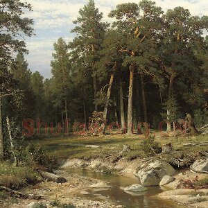 希施金森林风景画《维亚特卡的松林》