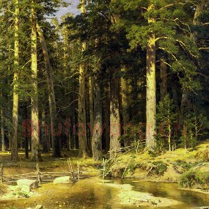 希施金油画森林风景画作品