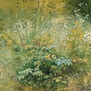 希施金油画风景《野草与野花》