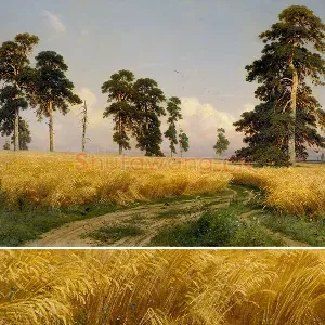希施金《麦田》油画风景