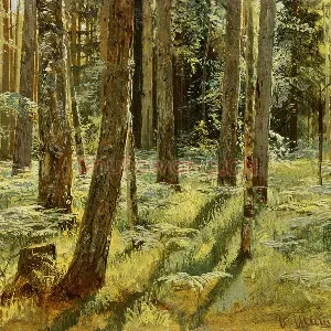 希施金风景油画《森林里的蕨类植物》
