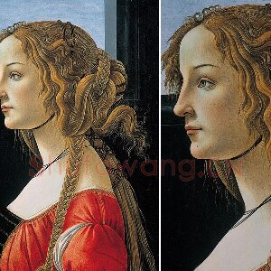 波提切利作品《年轻女子肖像》